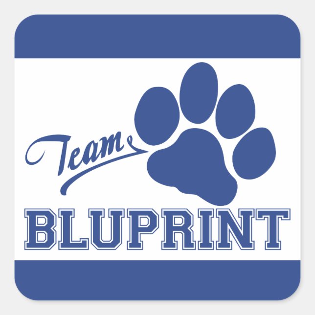 Pegatinas BluPrint Square de Team (Anverso)