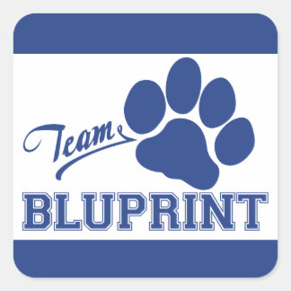Pegatinas BluPrint Square de Team