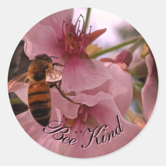 Pegatinas bonitos de abejas