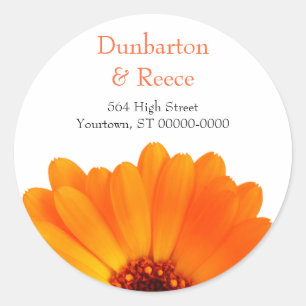 Pegatinas Bright Daisy