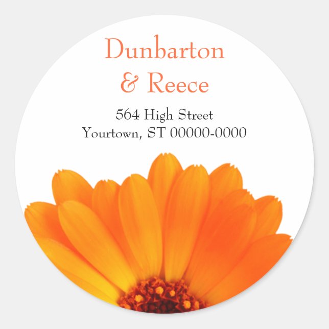 Pegatinas Bright Daisy (Anverso)