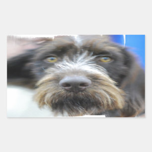 Pegatinas cabelludos del indicador del alambre