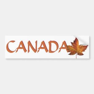 Pegatinas canadienses de la hoja de arce de la