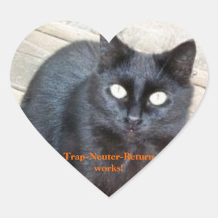 pegatinas cardíacos de retorno y punto muerto