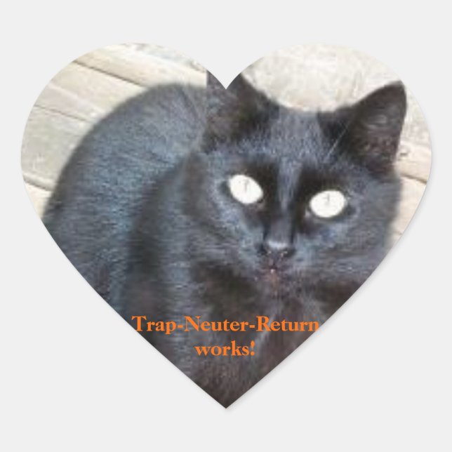 Pegatinas cardíacos Trap-Neuter-Return (Anverso)