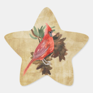 Pegatinas cardinales rojos de la estrella del día