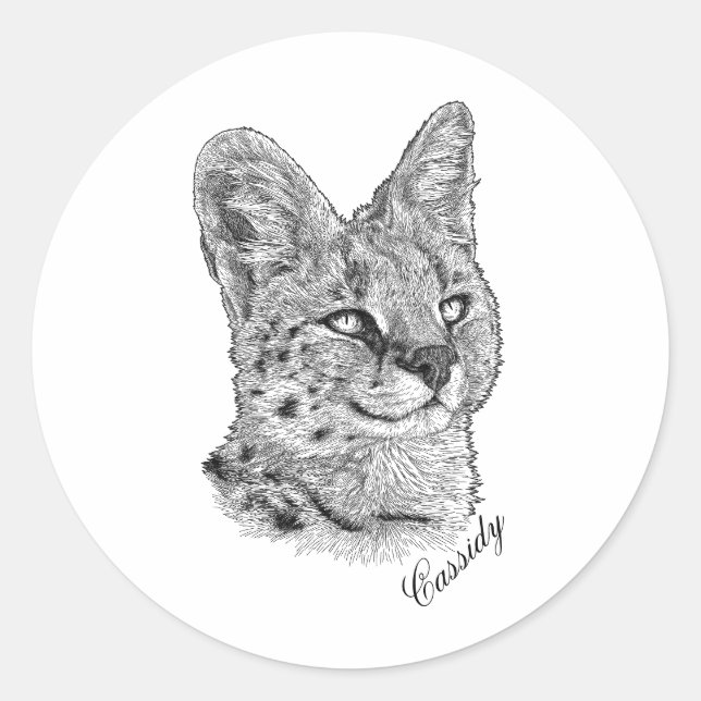 Pegatinas - Cassidy (Anverso)