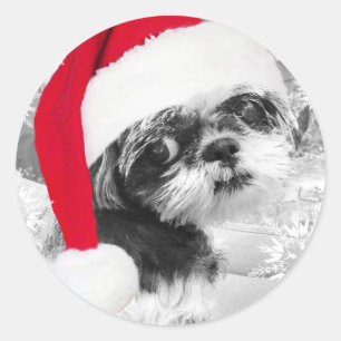 Pegatinas Chicas de Santa Shih Tzu