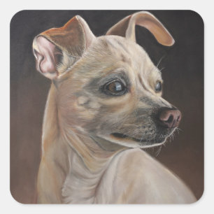 pegatinas Chihuahua