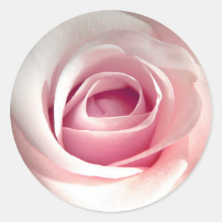 Pegatinas color de rosa rosados