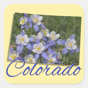 PEGATINAS - COLORADO