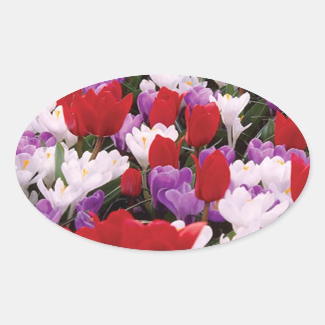 Pegatinas coloridos de Tulip Flowers (Anverso)