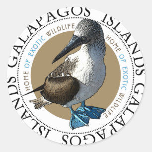 Pegatinas con base azules del bobo