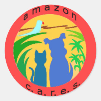 Pegatinas con el logotipo de los coches de Amazon