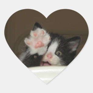 Pegatinas con forma de corazón gatito
