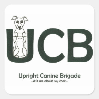 PEGATINAS con logotipo de UCB