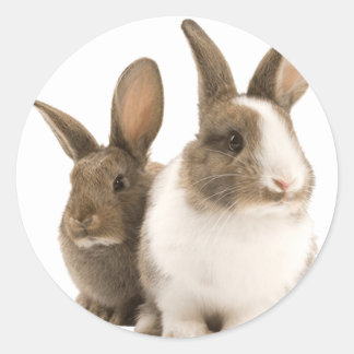 Pegatinas conejitas
