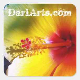 Pegatinas conocidos de encargo de la flor amarilla