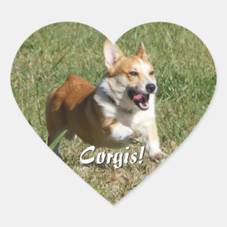 Pegatinas Corgi en funcionamiento