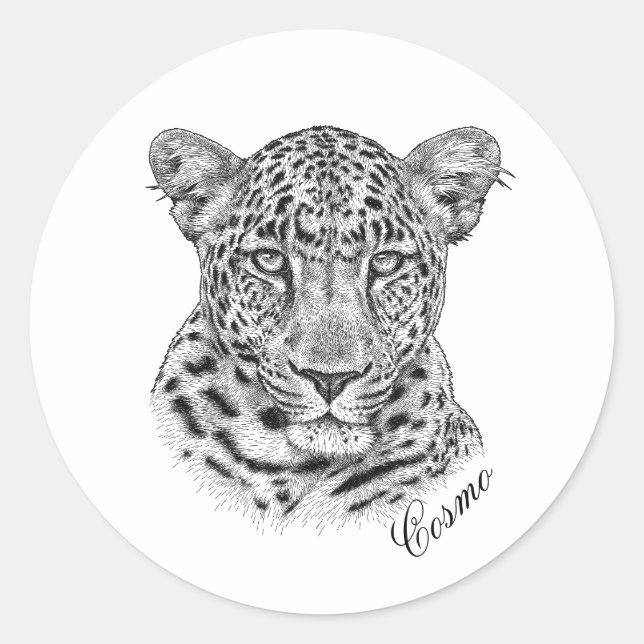 Pegatinas - Cosmo (Anverso)