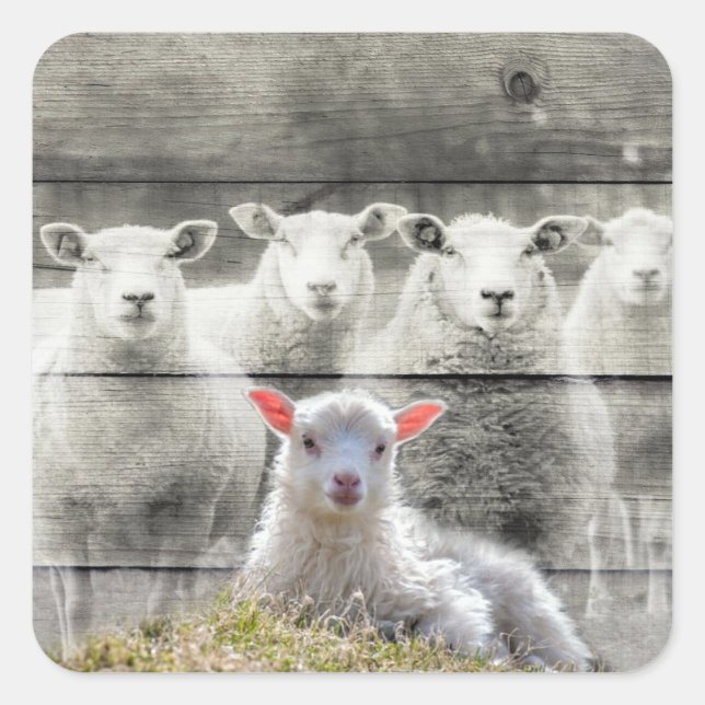 Pegatinas cuadrados (Anverso)