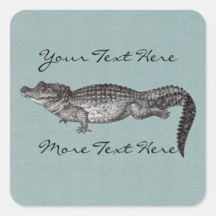 Pegatinas cuadrados del cocodrilo