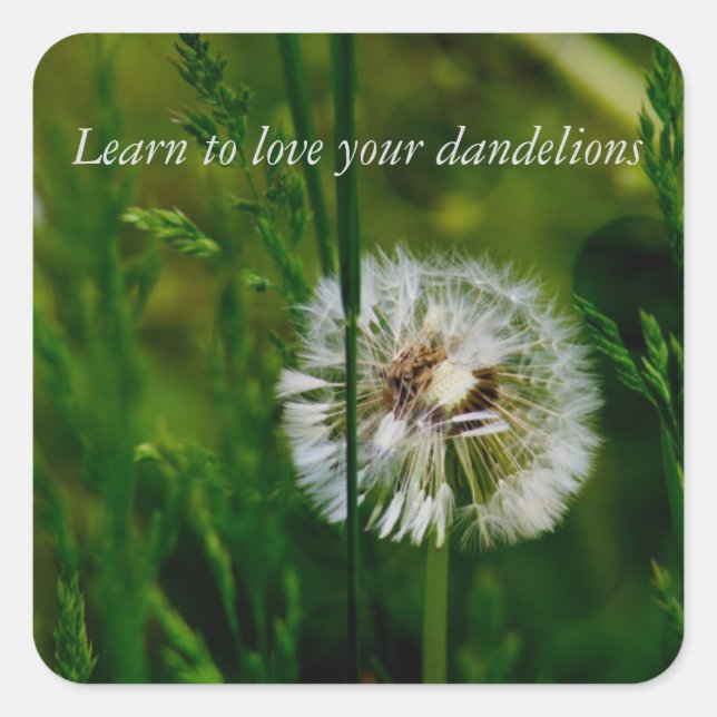 Pegatinas DBT (Anverso)