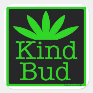 pegatinas de 6 a 3" de Kind Bud