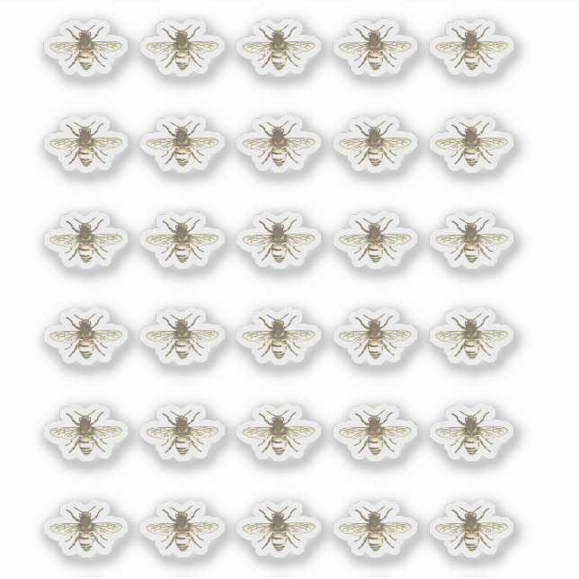 Pegatinas de abeja melífera estilizadas (Anverso)