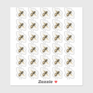 Pegatinas de abejas blancas o transparentes