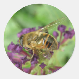 Pegatinas de abejas y flores moradas