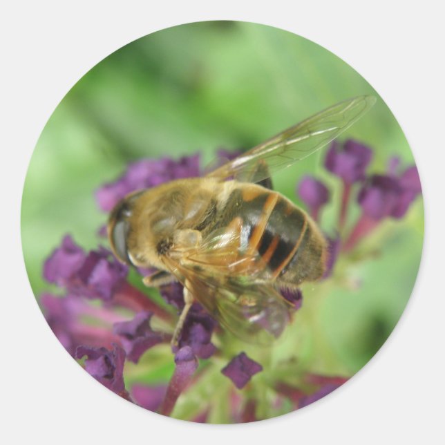 Pegatinas de abejas y flores moradas (Anverso)