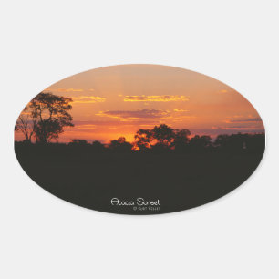 Pegatinas de Acacia Sunset Oval