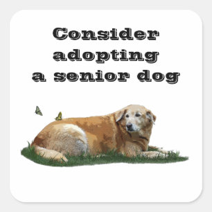 Pegatinas de Adopción de Perros de Raza Mixta de L