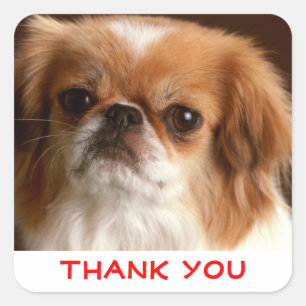 Pegatinas de agradecimiento cachorro de Pekín