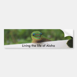 Pegatinas de Aloha Gecko