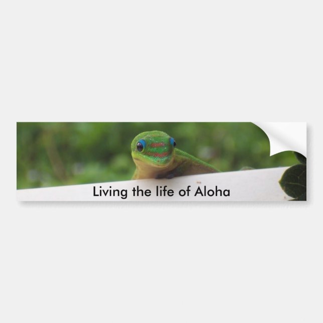Pegatinas de Aloha Gecko (Frente)