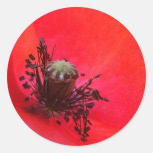 Pegatinas de amapola