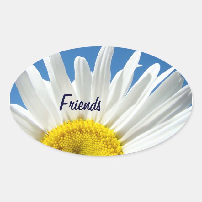 Pegatinas de amigos Flores de margarita blanca sel (Anverso)