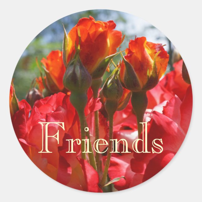 Pegatinas de amigos sellos ROSA ROJA Flores Navida (Anverso)