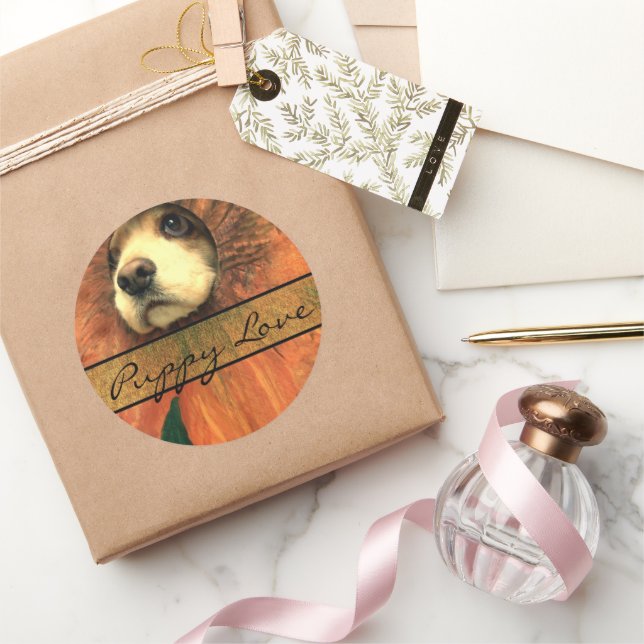 Pegatinas de amor de pipa (Regalar)