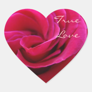 Pegatinas de Amor Verdadero Rosas Rosadas Sellos d