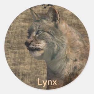 Pegatinas de animales salvajes de gato Lynx