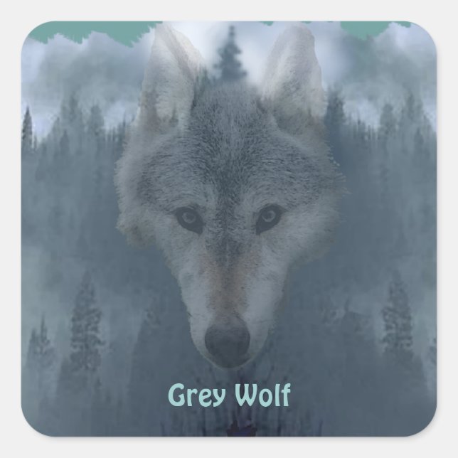 PEGATINAS de apoyo a la vida silvestre GRAY WOLF & (Anverso)