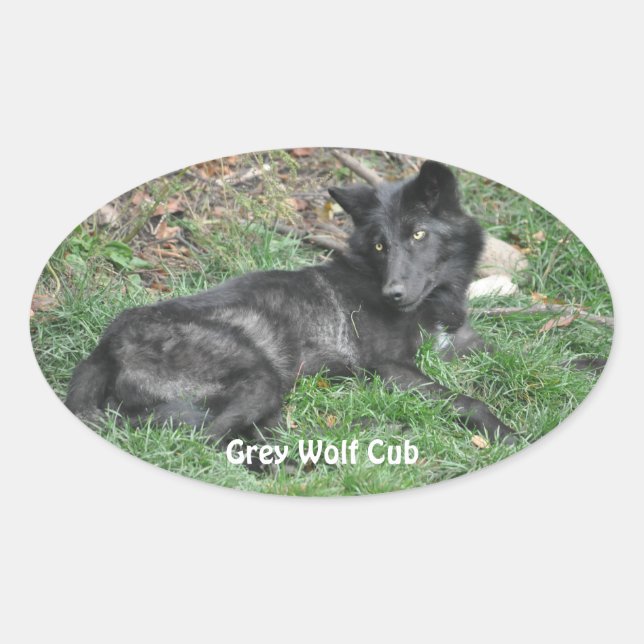 PEGATINAS de apoyo a la vida silvestre GRAY WOLF C (Anverso)