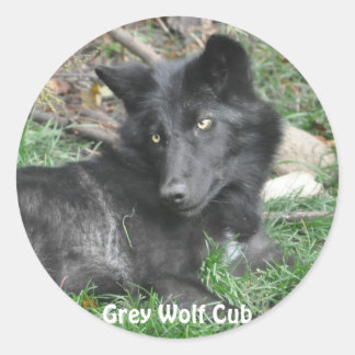 PEGATINAS de apoyo a la vida silvestre GRAY WOLF C
