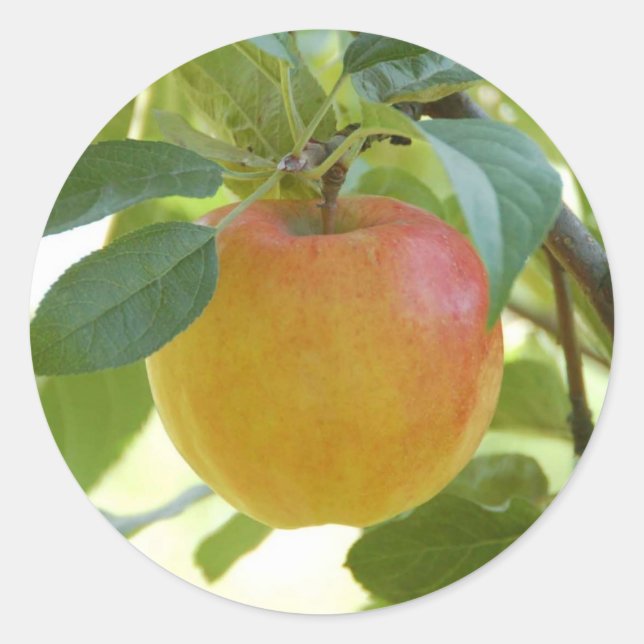 Pegatinas de Apple Prima (Anverso)