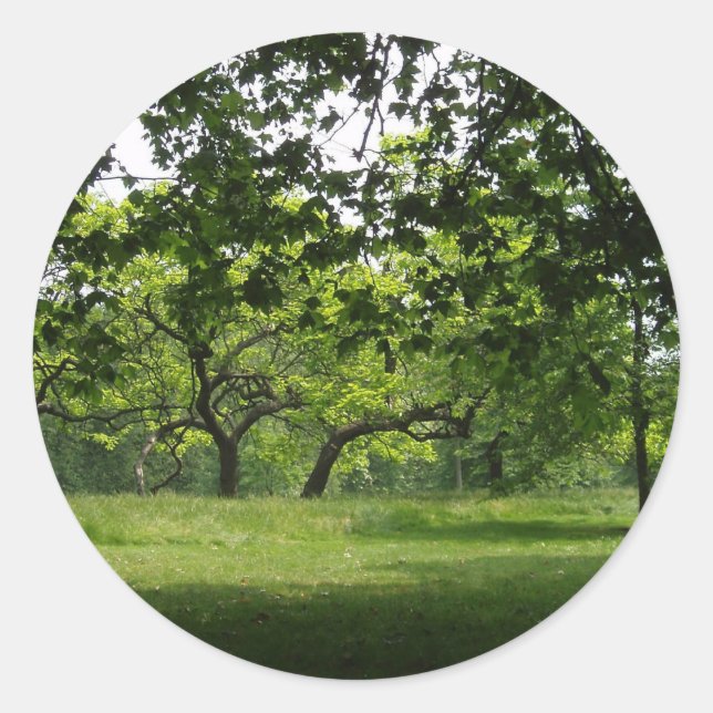 Pegatinas de árbol (Anverso)