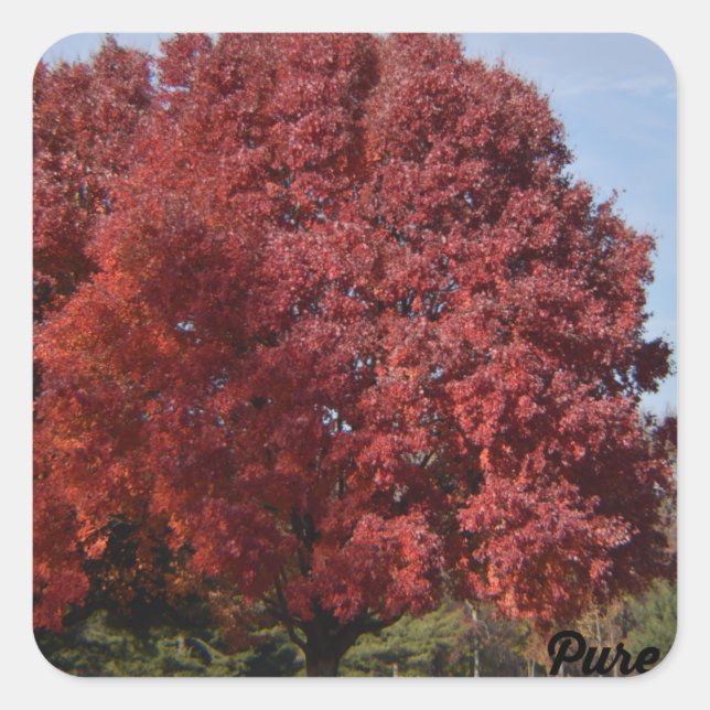 Pegatinas de árbol rojo (Anverso)