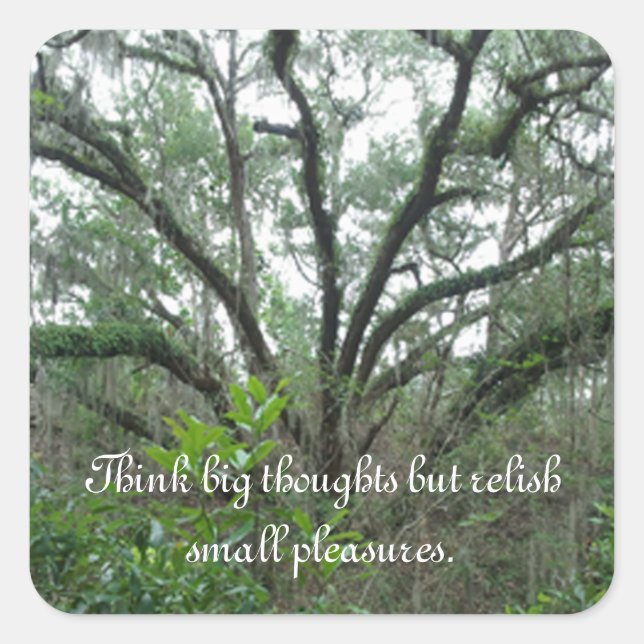 Pegatinas de árboles tranquilos (Anverso)